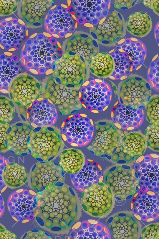 斑斓波点印花华亿平台图片