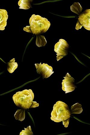 郁金香印花华亿平台图片