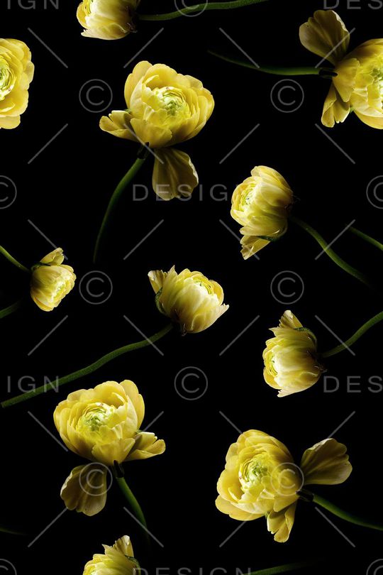 郁金香印花华亿平台图片