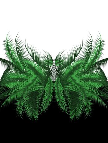 716019-838816100402a