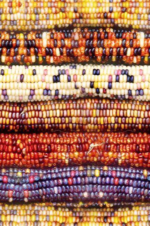 玉米印花华亿平台图片