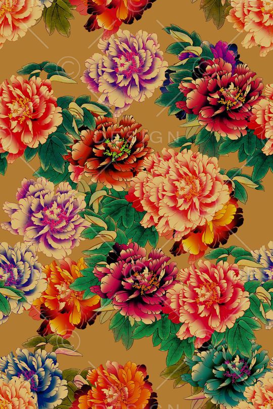 A.I.F时尚女装满版印花华亿平台图片