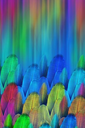 A.I.F时尚女装定位印花华亿平台图片