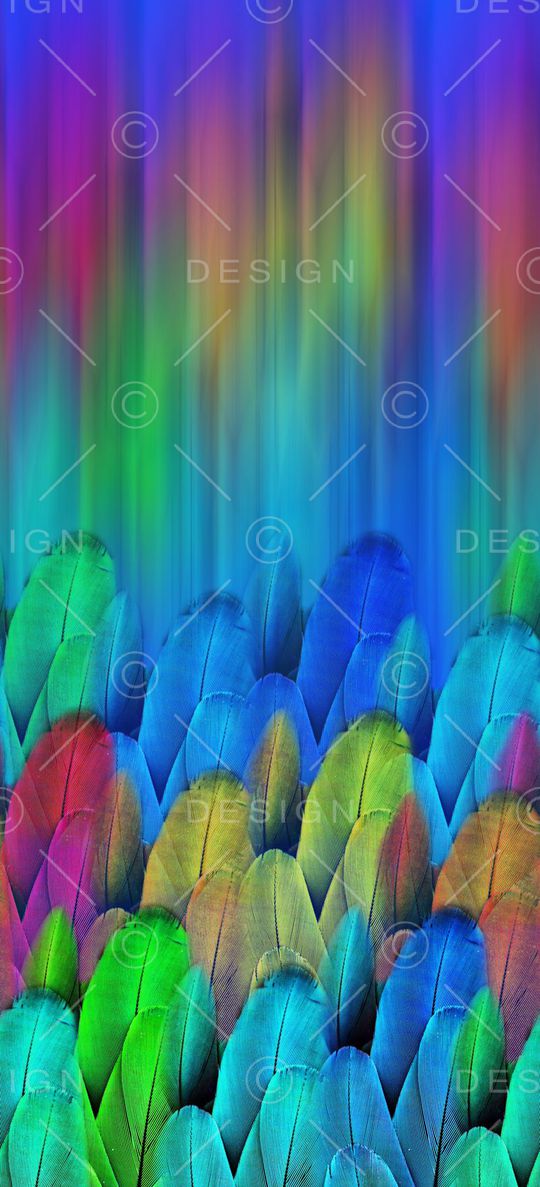 A.I.F时尚女装定位印花华亿平台图片