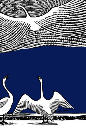 鸟印花华亿平台图片