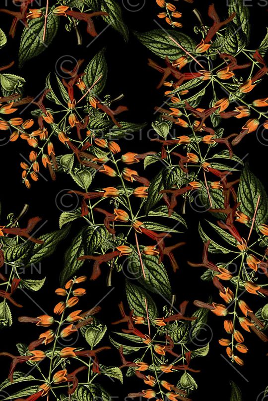 抽象手绘植物树叶数码印花印花华亿平台图片