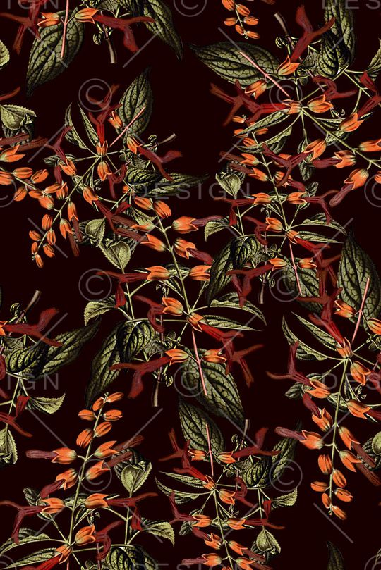 抽象手绘植物树叶数码印花印花华亿平台图片