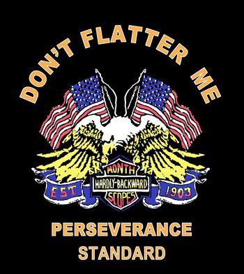 老鹰印花华亿平台图片