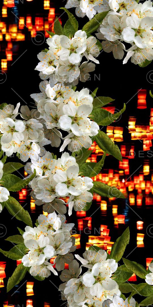 玫瑰印花华亿平台图片