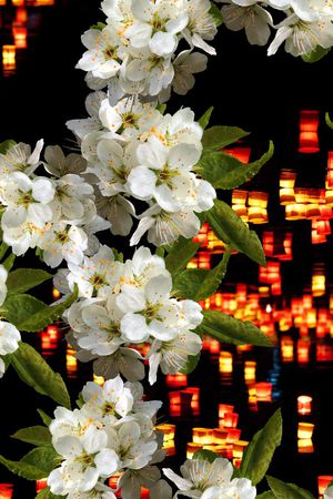 玫瑰印花华亿平台图片