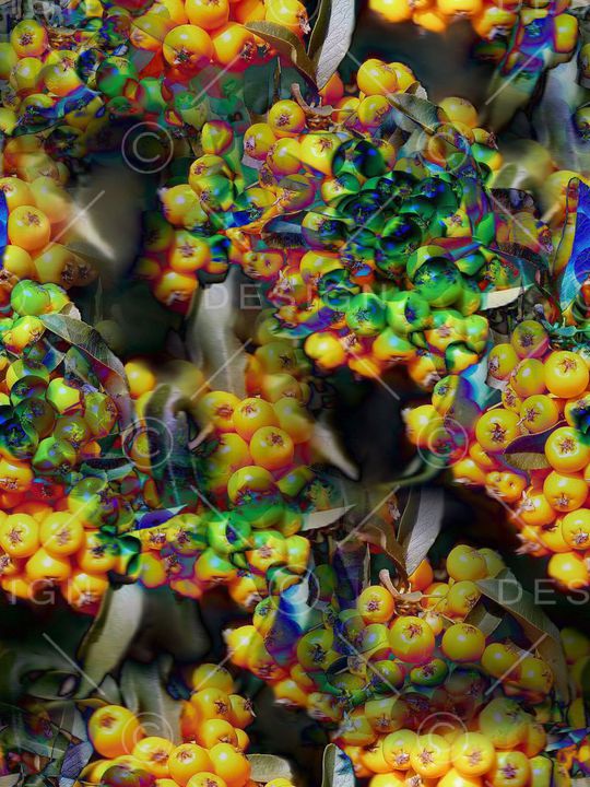 复古印花华亿平台图片