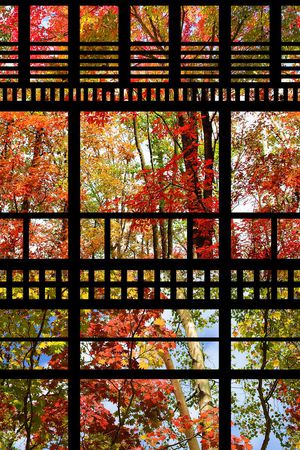 几何条纹印花华亿平台图片