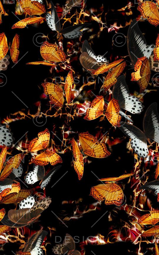 蝴蝶印花华亿平台图片