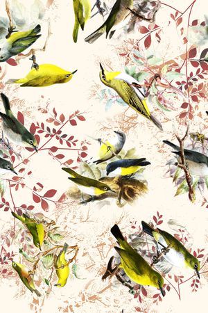 鸟印花华亿平台图片