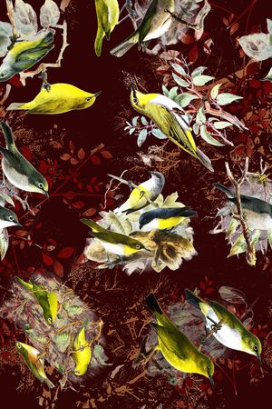 鸟印花华亿平台图片