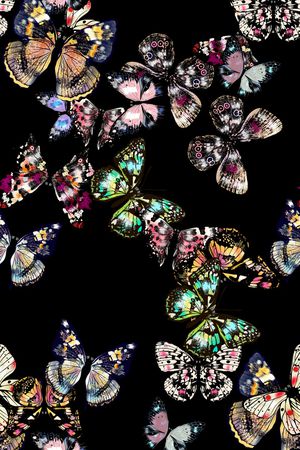 蝴蝶印花华亿平台图片