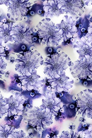 花朵印花华亿平台图片