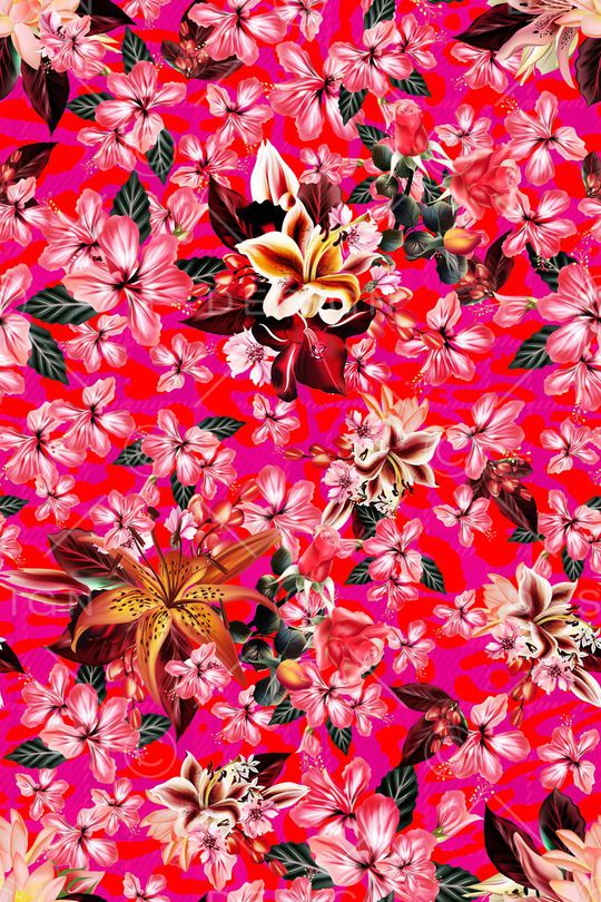 animal印花华亿平台图片