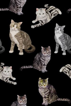 猫印花华亿平台图片