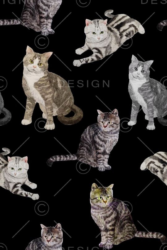 猫印花华亿平台图片