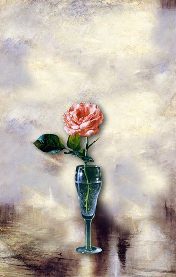 大花印花华亿平台图片