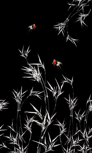 717168-fei-56856335365