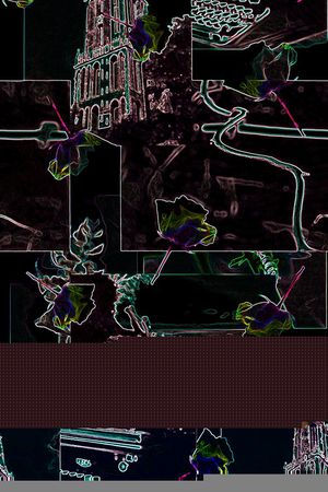 花朵印花华亿平台图片