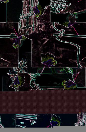 花朵印花华亿平台图片