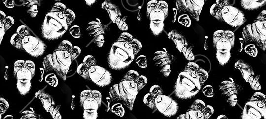 叶子印花华亿平台图片