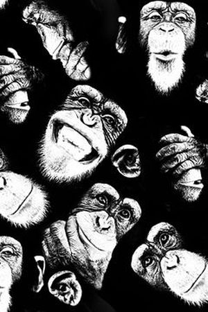 叶子印花华亿平台图片