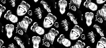 叶子印花华亿平台图片