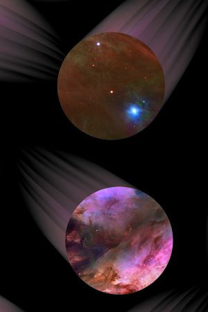 叶子印花华亿平台图片