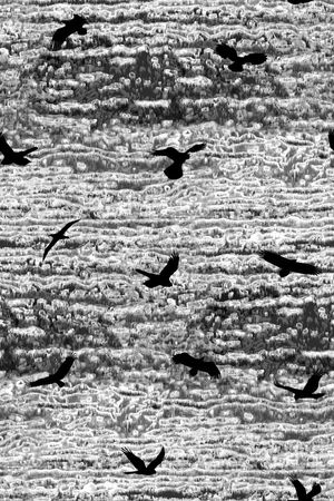 纹理印花华亿平台图片