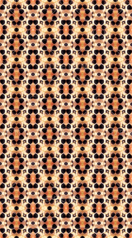 动物纹印花华亿平台图片