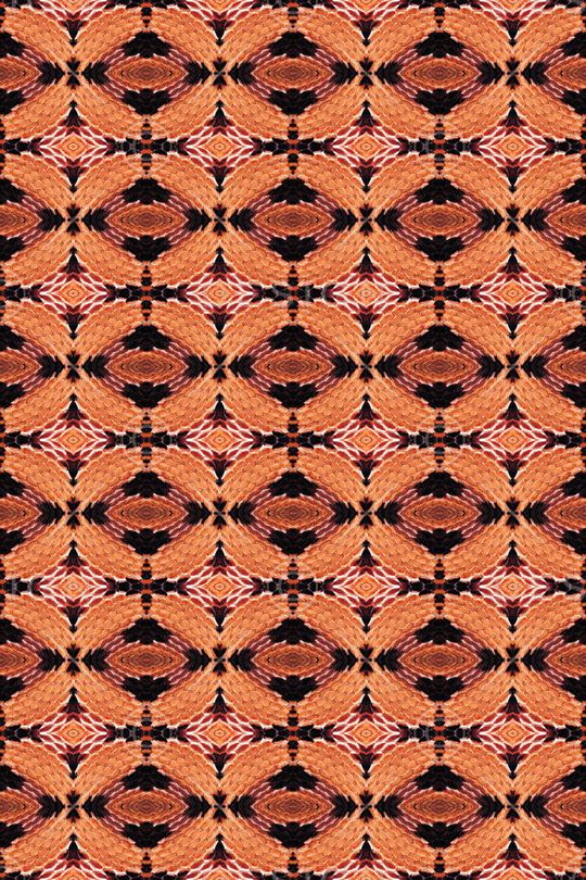 动物纹印花华亿平台图片