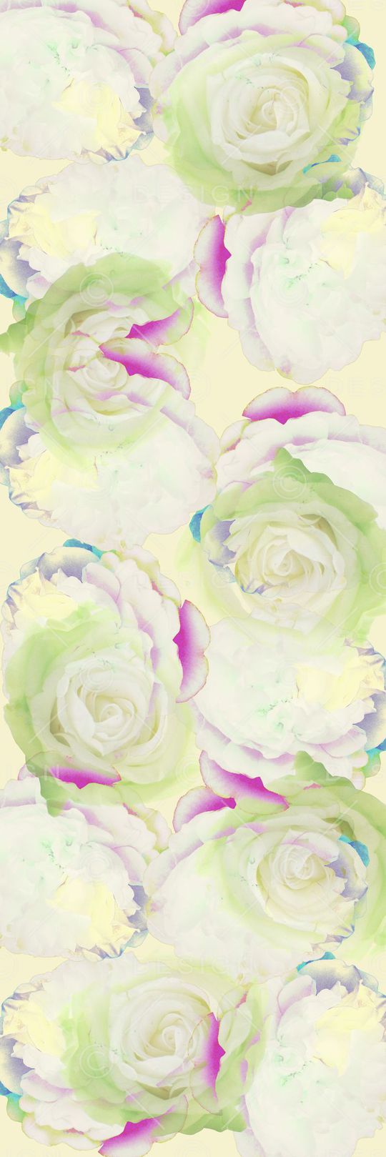 玫瑰印花华亿平台图片