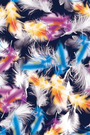 羽毛印花华亿平台图片