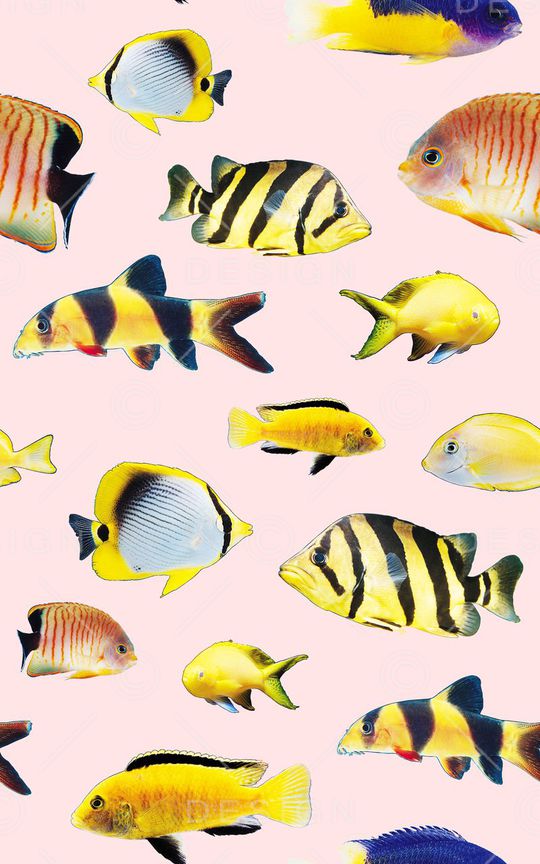 海洋生物印花华亿平台图片