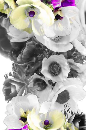 牡丹印花华亿平台图片