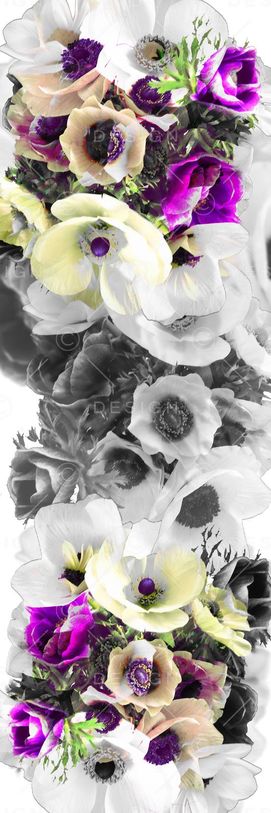 牡丹印花华亿平台图片