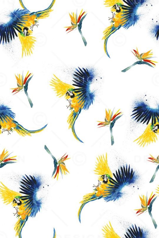 鹦鹉印花华亿平台图片