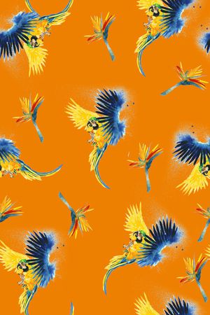 鹦鹉印花华亿平台图片