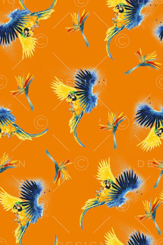 鹦鹉印花华亿平台图片