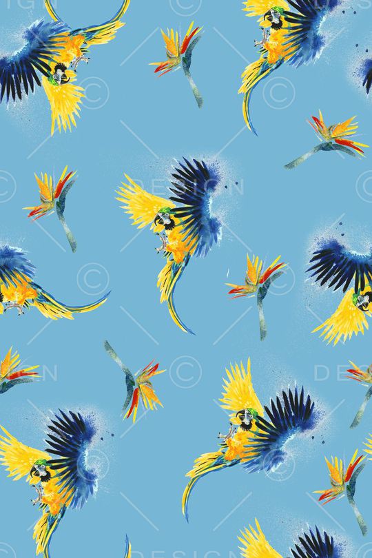 鹦鹉印花华亿平台图片