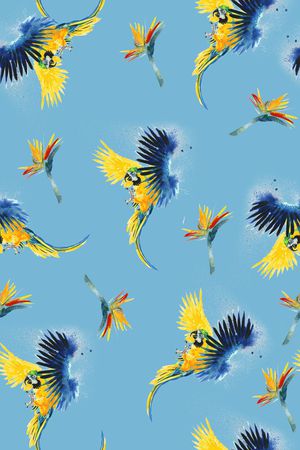 鹦鹉印花华亿平台图片