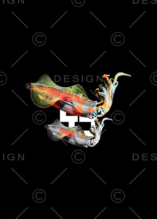 T恤印花华亿平台图片