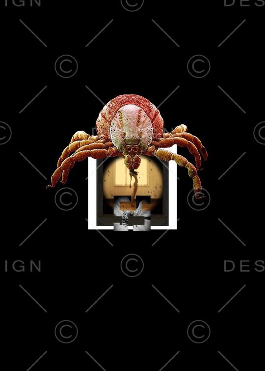 T恤印花华亿平台图片