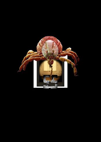 T恤印花华亿平台图片