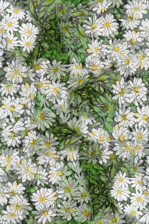 风格化花卉印花华亿平台图片