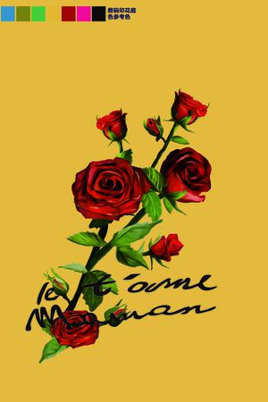 女装前幅印花华亿平台图片